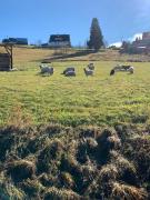 Top Gliczarów Górny