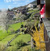Top Thun