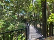 Top Monteverde