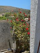Top El Haouaria