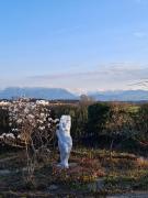 Ferienwohnung Theresia