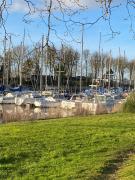 Top Carentan