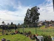 Casa Acogedora Ordoñez Lasso