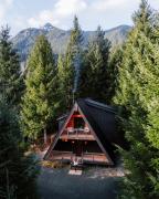 Top Packwood
