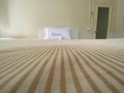 Top Albissola Marina