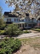 L arbre sous le vent