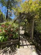 The Black Sheep Inn