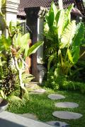 Top Ubud