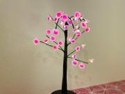 ゲストハウス凡