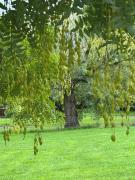 Top Yackandandah