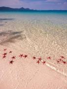 Top Phu Quoc