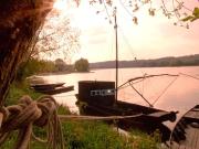 Top Chinon Top Chinon