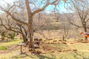 Top Medicine Park
