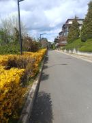 Top Sozopol