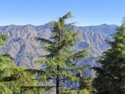 Top Mussoorie
