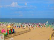 Top Rosolina Mare