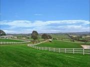 Top Wonga Park