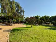 SUN & SEA apartments in Thalassa Beach Resort