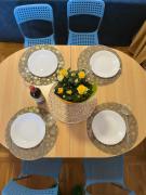 Plavi apartman Airport