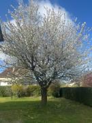 Charmante maison individuelle