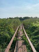 Fazenda, a mini birtok