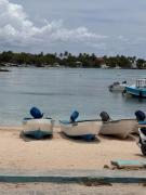Top Bayahibe