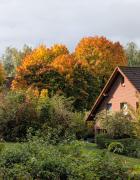 Top Nieheim Top Nieheim