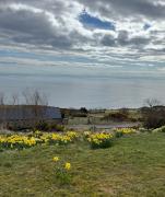 Top Helmsdale