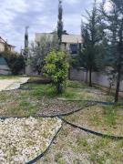 Top Kemer