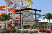 Top Chincoteague