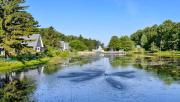 Top Stevensville