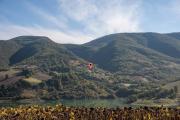 Top Cingoli