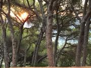 Top San Piero in Campo