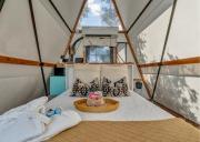 Top Cottonwood Shores
