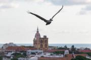 Top Cartagena de Indias