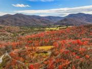 Top Luray