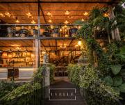 Tropical Villas & Wellness Retreat Morelos