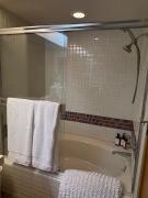 Ski-In Ski-Out Palisades Hot-Tubs EV Charger