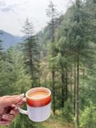 Top Jibhi