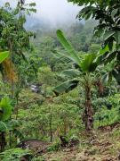 Landhaus Casa Mielavida