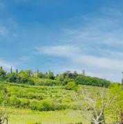 Top Lavagno
