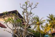 Top Hoi An
