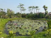 Top Mương Theng