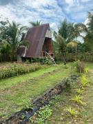 Top Batuan