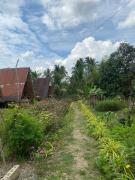Top Batuan