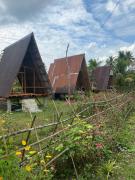 Top Batuan