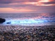 Villa Samba- Premium One-Bedroom Apartment with Balcony and Sea View