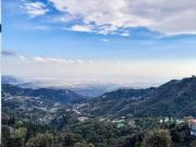 The Three Oaks Boutique Hotel