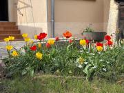 Top Noyen-sur-Sarthe