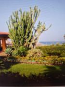 Villa Milena Morghella